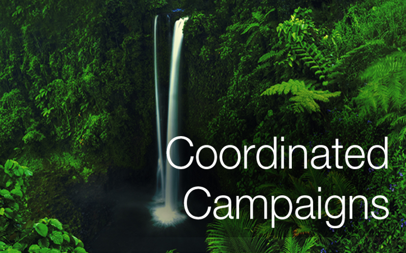 coordinated campaigns